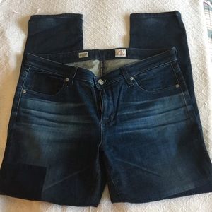 AG Adriano Glodscmeid Stevie Ankle Slim Jeans